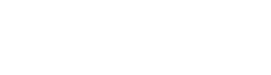 Shoppub